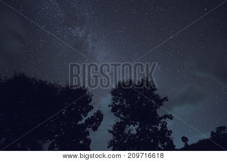 Long exposure and High ISO shot of star and milky way over the mountain and silhouette of tree at night.