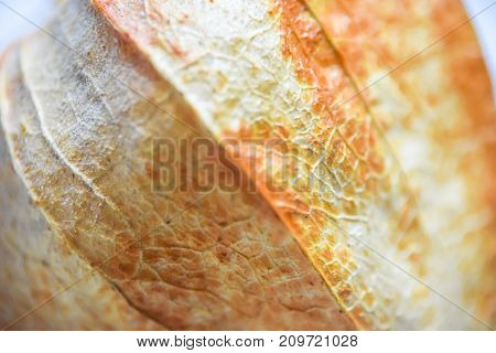 Abstract Phisalys Background Chinese Lantern Orange Macro