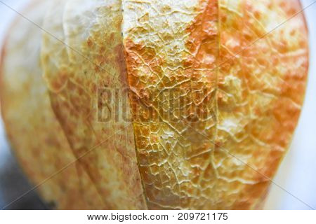 Abstract Phisalys Background Chinese Lantern Orange Macro