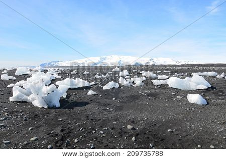 A Field Of Chunks Of Glacers On A Beach Of Black Sand