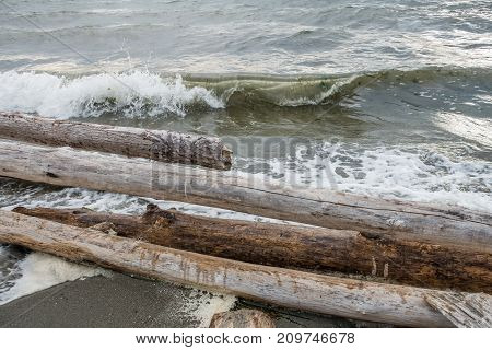 A closeup shot of driftwood logs and the shorebreak in the Pacific Northwest.