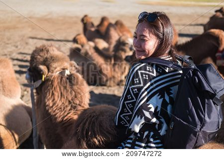 A beautiful Asian tourist woman riding camel in the Hunder desert Ladakh India