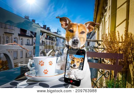 Dog Having A Coffee Break And Selfie