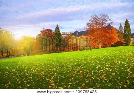 Sunny autumn landscape with golden leaves and house