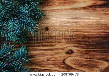 Sprig of Christmas tree on a wooden background. place for text. cjpy space