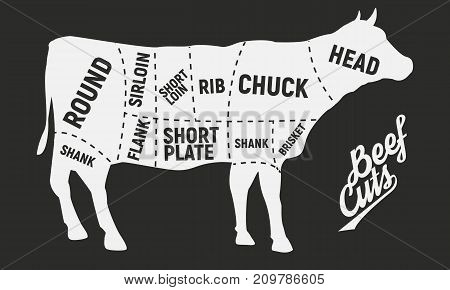 Cuts of beef Poster. Vintage diagram. Vector illustration