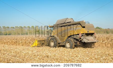 yellow combine harvester at work in a cornfield on a farm