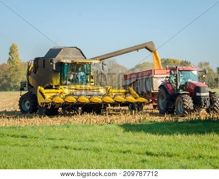 yellow combine harvester unloading corn seeds into the grain tank of the tractor trailer