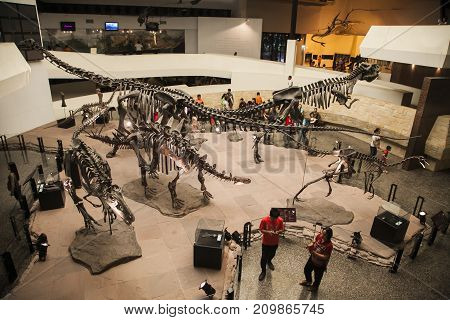 Sahat Sakhan, Kalasin - September 04 : Siamotyrannus Isanensis Exhibited Show At Dinosauria Of Sirin