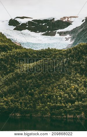Svartisen glacier over forest Landscape in Norway scandinavian nature landmarks