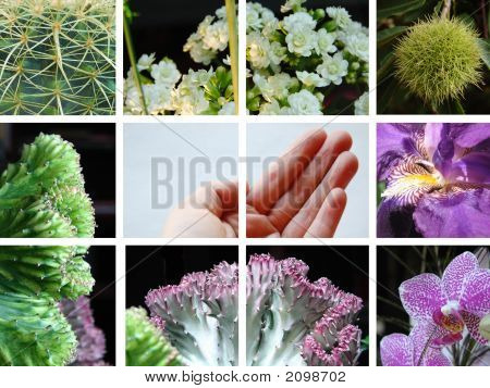 Zusammensetzung der Natur mit hand