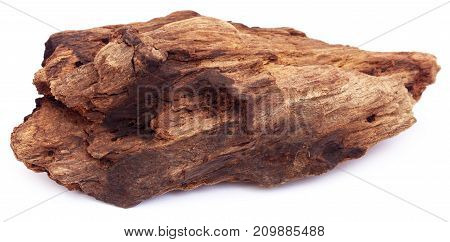 Closeup of natural bogwood over white background