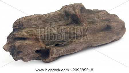 Close up of Bogwood over white background