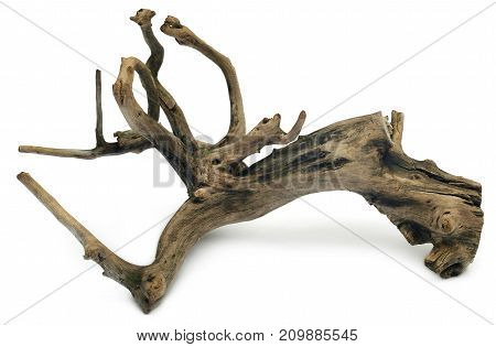 Close up of Bogwood over white background