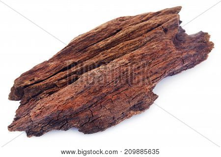 Close up of Bogwood over white background