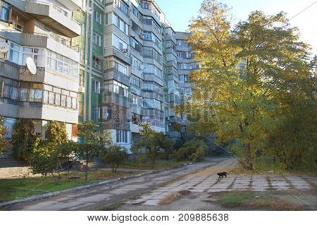 Quiet autumn courtyard at dormitory area of a small country town. Concept of autumn in a small town.