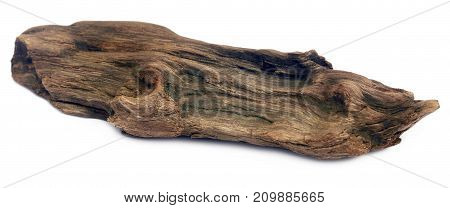 Closeup of Decorative bogwood isolated over white background