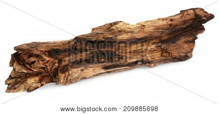 Closeup of Decorative bogwood isolated over white background