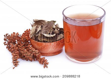 Herbal tea with tulsi leaves over white background