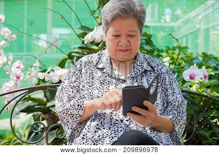 Elder Woman Holding Mobile Phone While Sitting On Bench In Garden. Elderly Female Smiling While Text