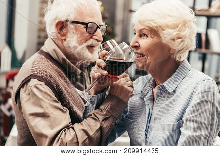 beautiful senior couple drinking red wine together