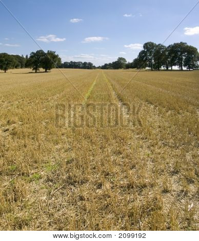Terras agrícolas