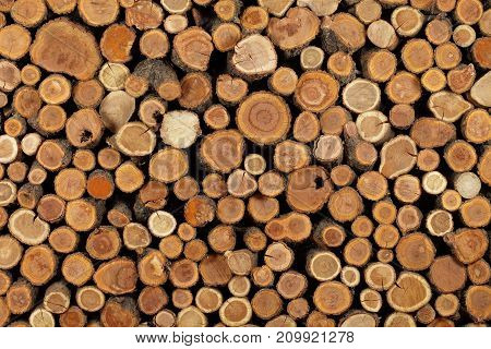 sawn logs and wood prepared for use in construction or heating