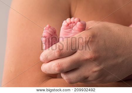 Feet newborn baby in mother's palm. Soft image of beautiful family.