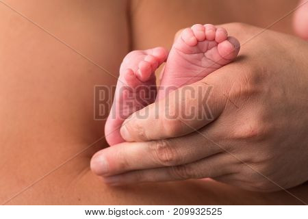 Feet newborn baby in mother's palm. Soft image of beautiful family.