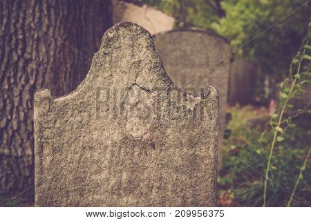 Old Tombstones In Cemetery