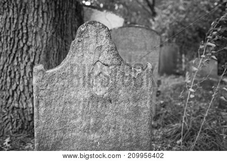 Old Tombstones In Cemetery