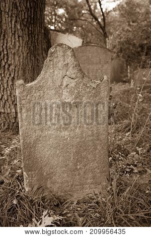 Old Tombstones In Cemetery