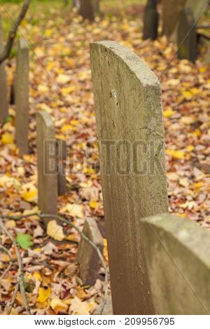 Old Tombstones In Cemetery