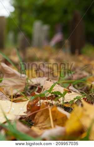 Old Tombstones In Cemetery