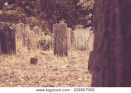 Old Tombstones In Cemetery