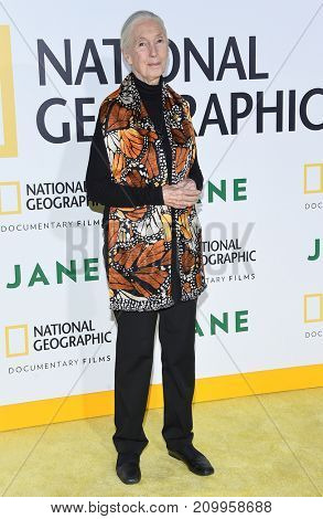 LOS ANGELES - OCT 09:  Jane Goodall arrives for the 'Jane' Los Angeles Premiere on October  9, 2017 in Hollywood, CA                