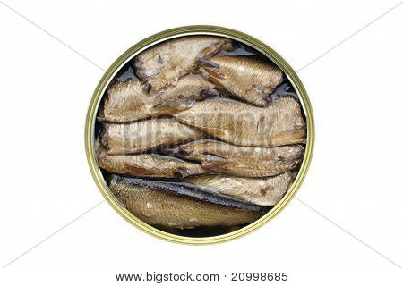 Sarde In latta