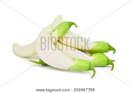 pile of white sesban vegetable isolated o white background
