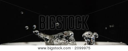 Splash