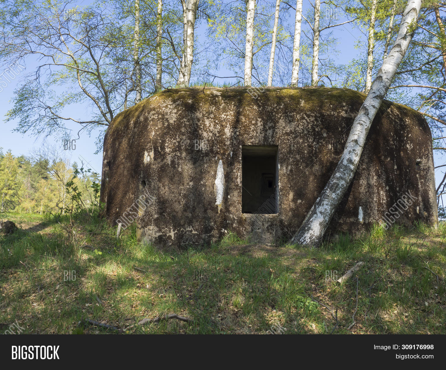 Abandoned World War Image & Photo (Free Trial) | Bigstock