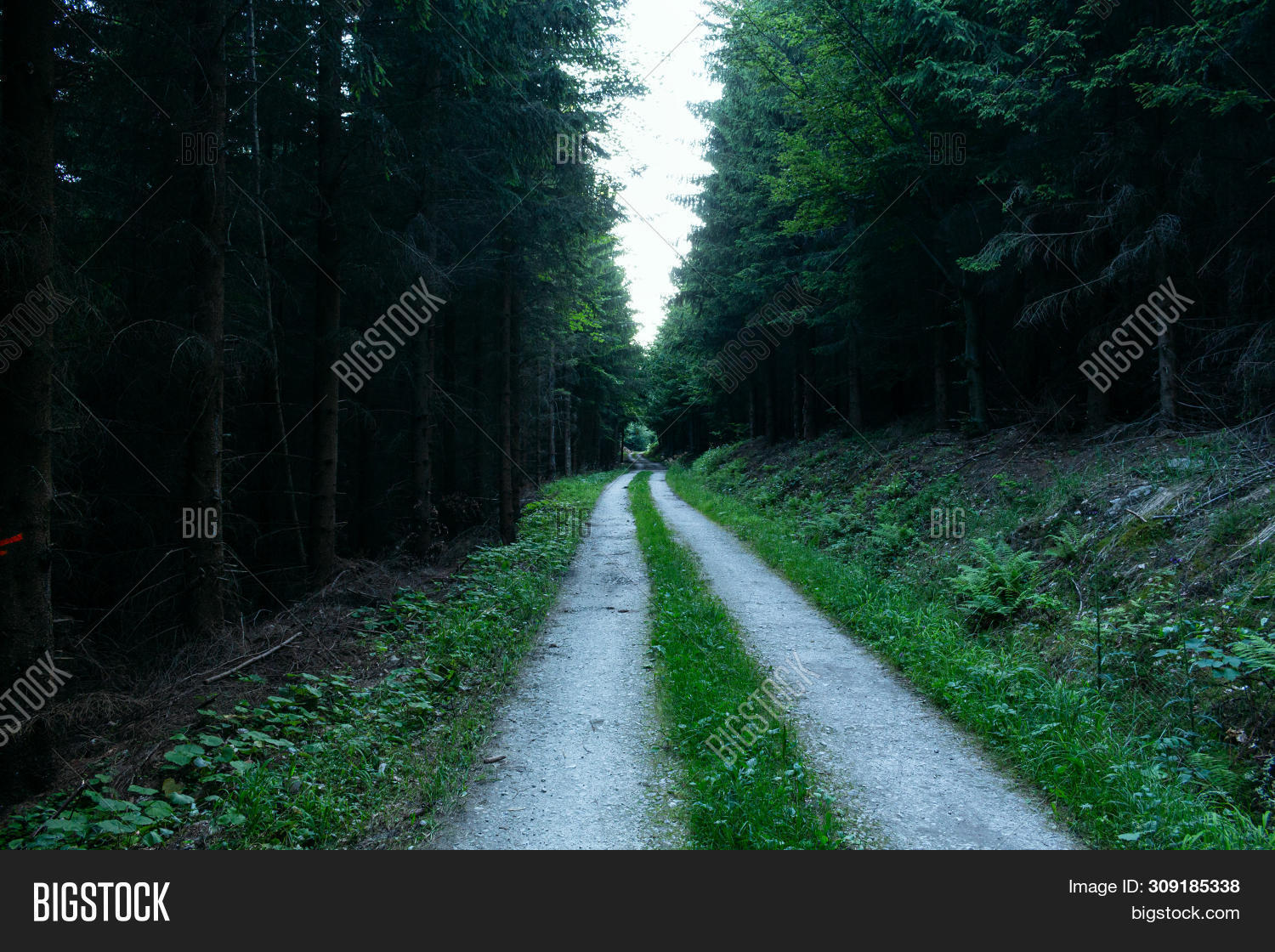 Walkway Lane Path Image & Photo (Free Trial) | Bigstock