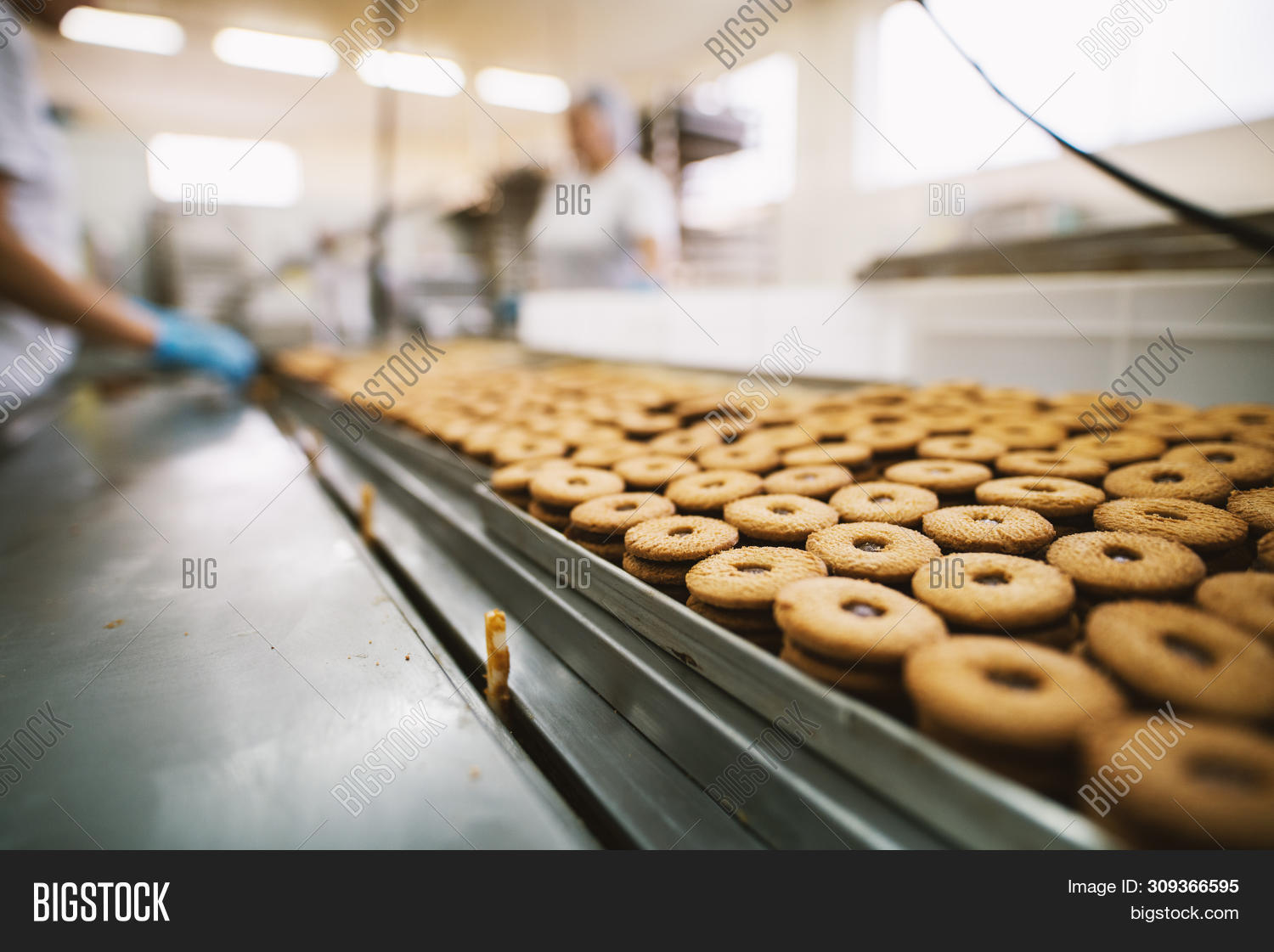 Cookie Factory, Food Image & Photo (Free Trial) Bigstock