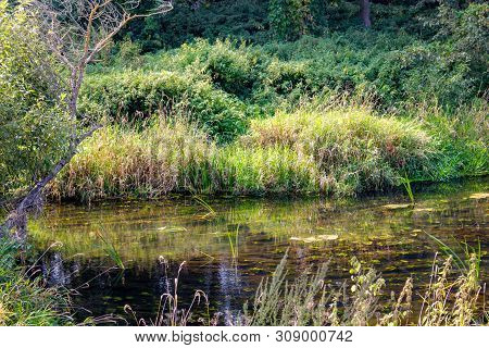 River Isma In The Borovsky District, Kaluzhskiy Region, Russia