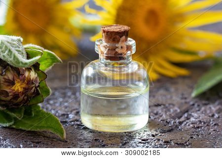 A Bottle Of Elecampane Essential Oil With Fresh Inula Helenium Flowers On A Dark Background