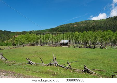 Old Corral Fencing