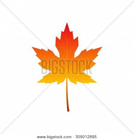 Colorful Icon Of Autumn Maple Leaf. Vector Illustration Isolated On White Background.