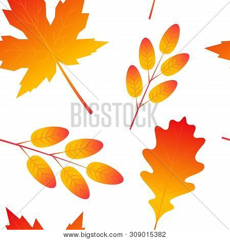 Seamless Pattern With Colorful Leaves In Flat Style. Vector Illustration On White Background