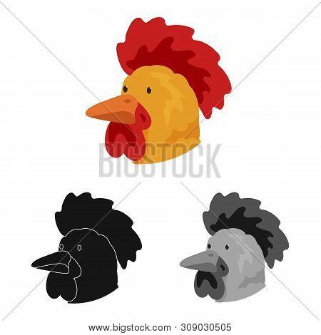 Vector Illustration Of Cock And Face Symbol. Set Of Cock And Husbandry Stock Symbol For Web.
