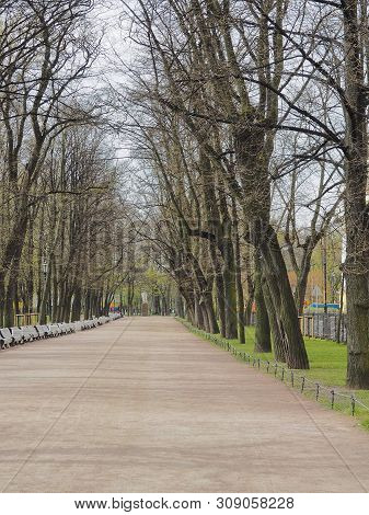 Empty Alley In Alexander Garden In Spring Day, Saint-petersburg, Russia. Promenade Near The Admiralt