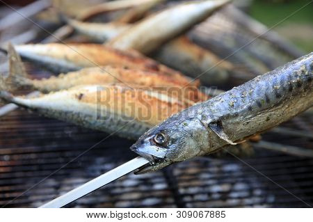 Fresh Mackerel On Stick At Barbecue Party. Germany